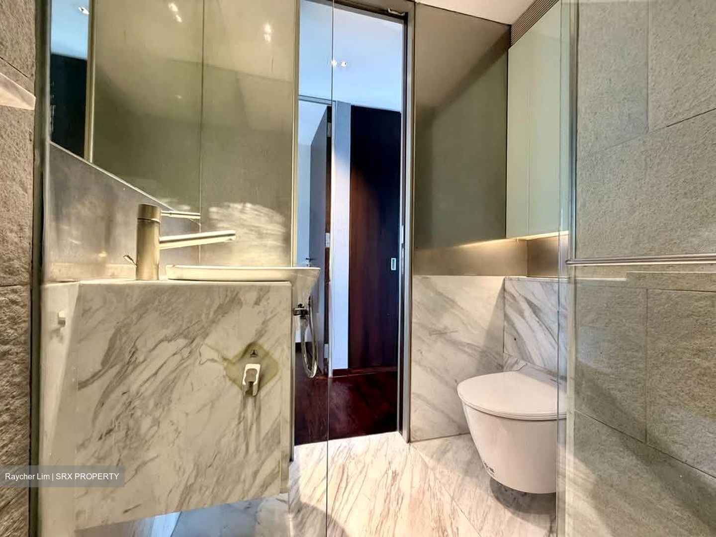 1 Moulmein Rise (D11), Apartment #585296451